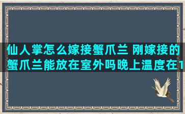 仙人掌怎么嫁接蟹爪兰 刚嫁接的蟹爪兰能放在室外吗晚上温度在10度左右。急